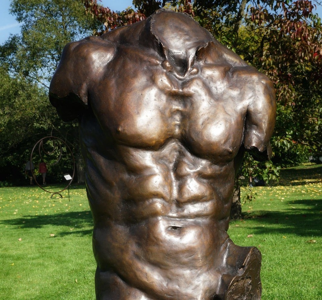 No male torso pics!